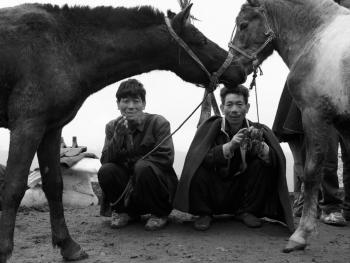 牲畜市场上的彝族人